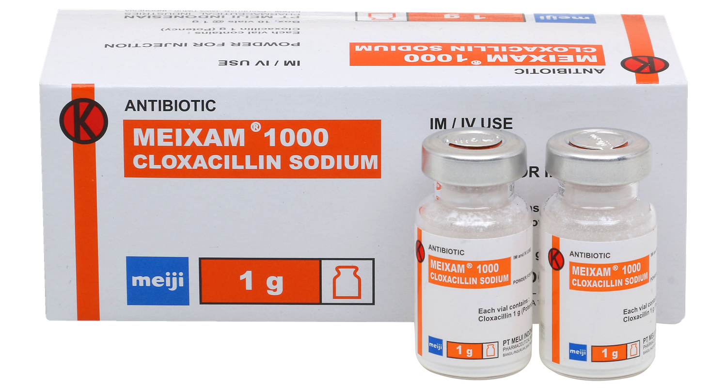 MEIXAM® FOR INJECTION