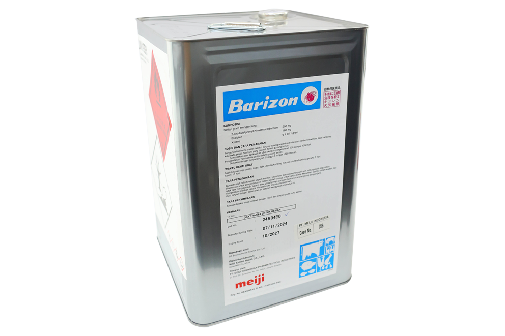 BARIZON